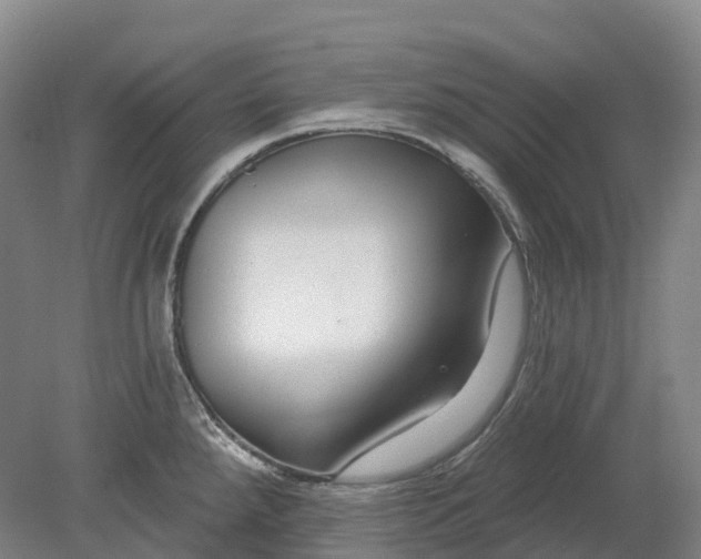 X0000080791288200701051344