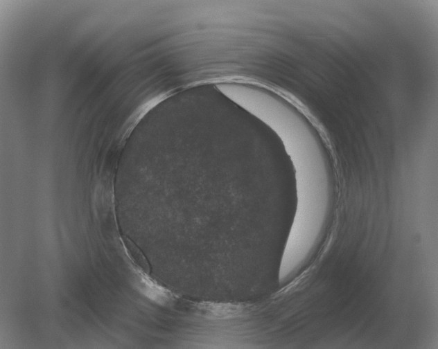 X0000080791289200701051344