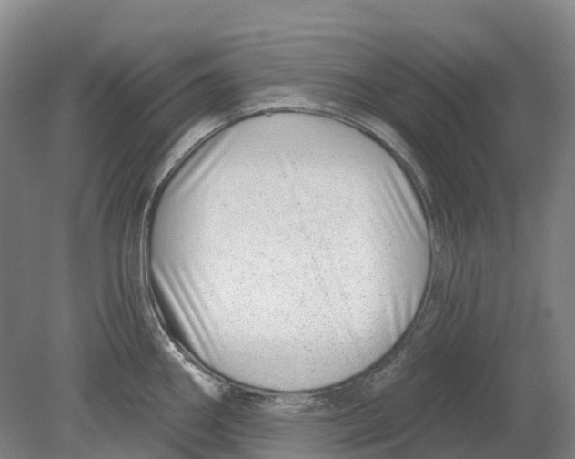 X0000080791290200701051344