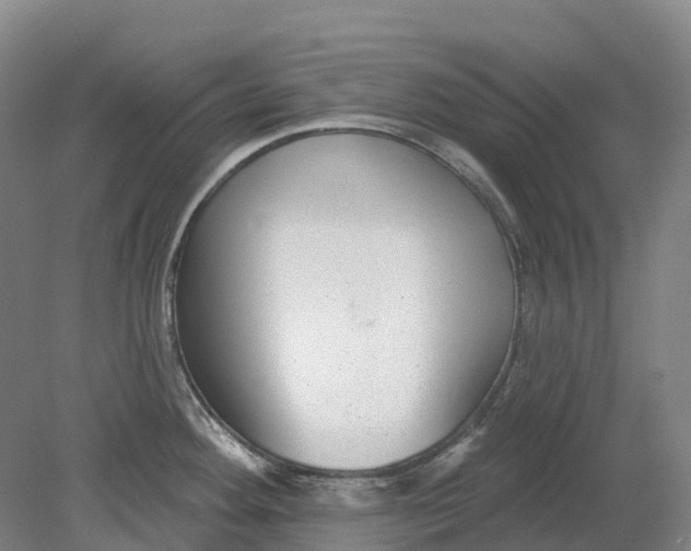 X0000080791292200701051344