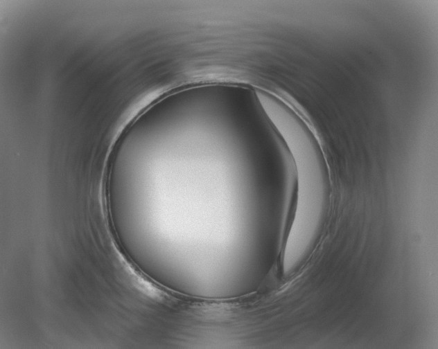 X0000080791293200701051344