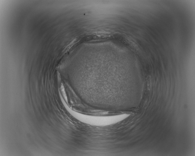 X0000080791298200701051343
