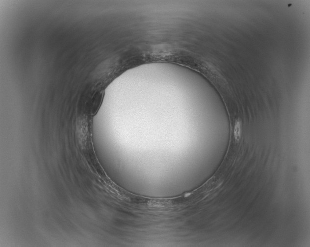 X0000080791299200701051343