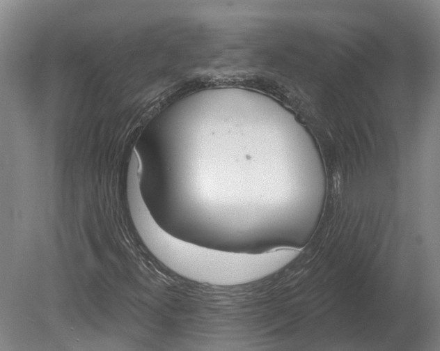 X0000080791300200701051343