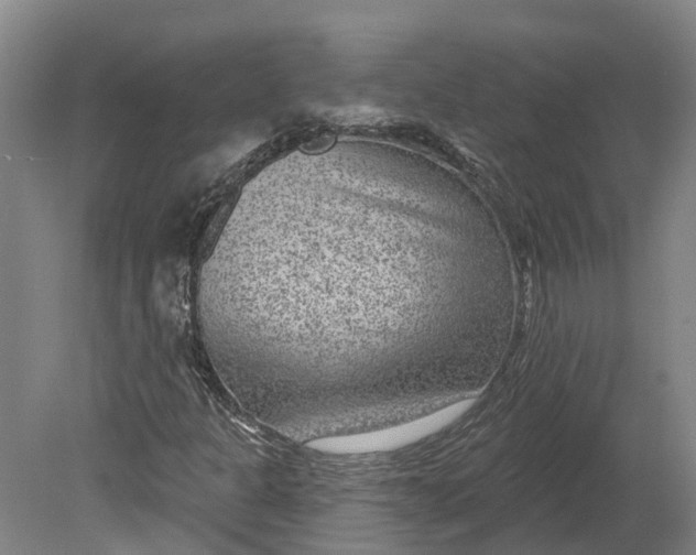 X0000080791301200701051343