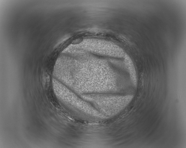 X0000080791302200701051343