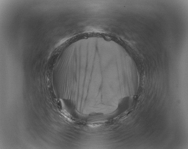 X0000080791303200701051343