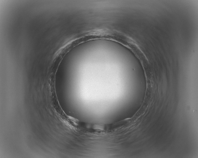 X0000080791304200701051343