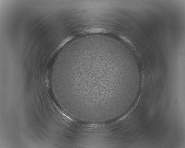 X0000080791305200701051343