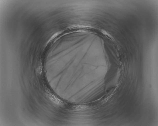 X0000080791306200701051343