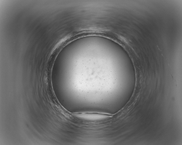 X0000080791307200701051343
