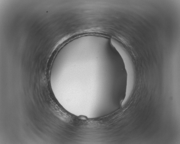 X0000080791308200701051343