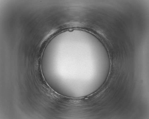 X0000080791309200701051343