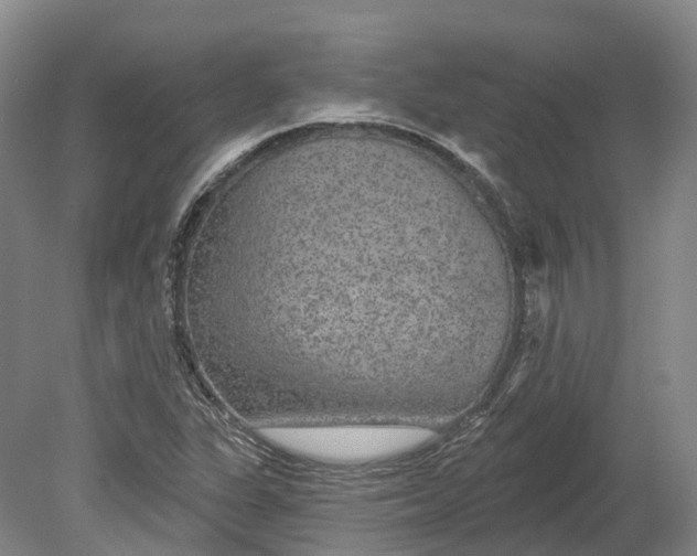 X0000080791311200701051343
