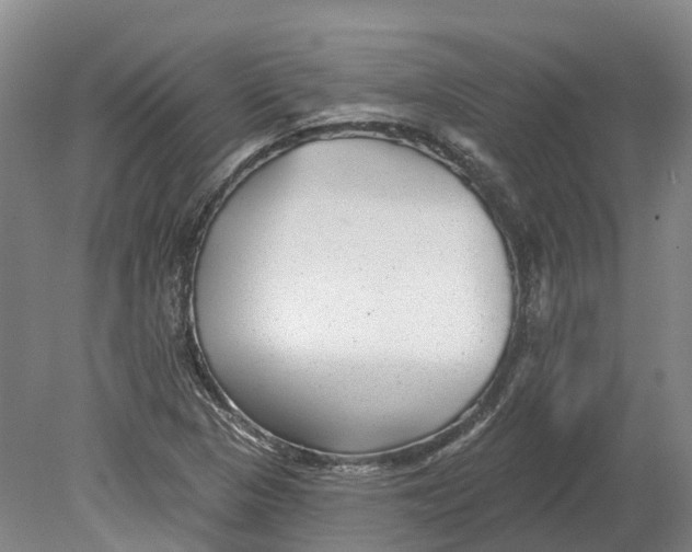 X0000080791313200701051343