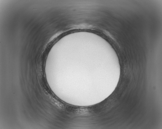 X0000080791315200701051343