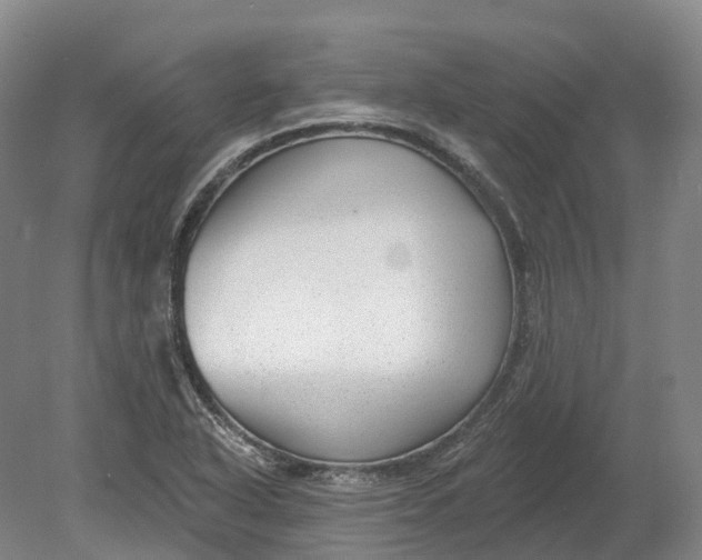 X0000080791318200701051343