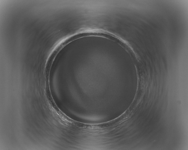X0000080791319200701051343