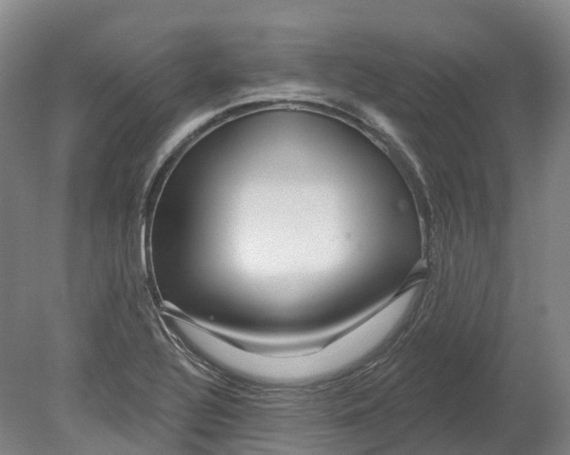 X0000080791320200701051343