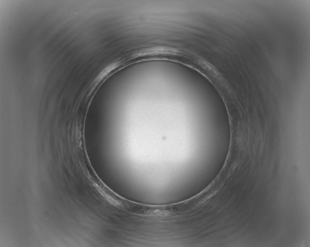 X0000080791321200701051343