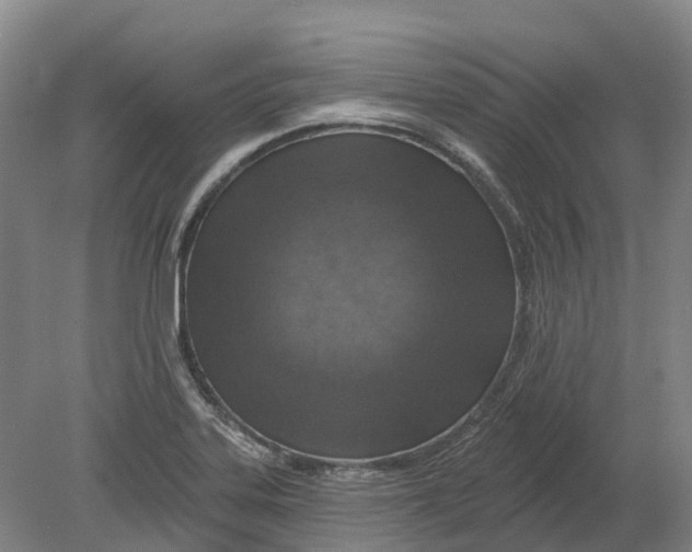 X0000080791323200701051343
