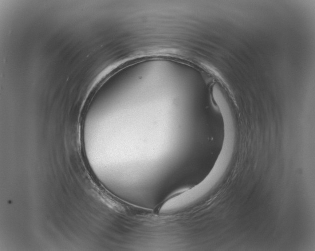X0000080791324200701051343