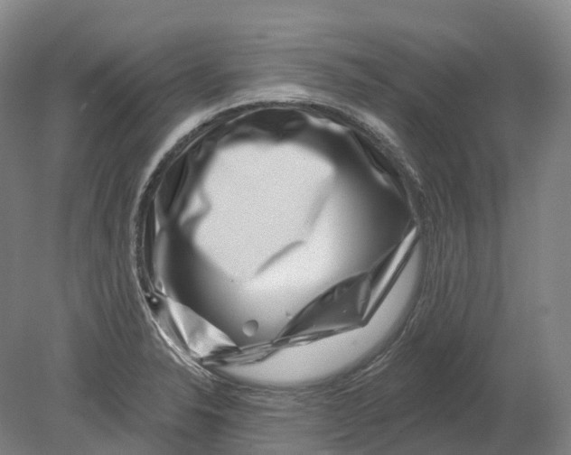 X0000080791326200701051343