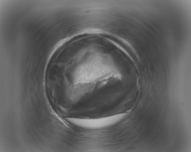 X0000080791327200701051343