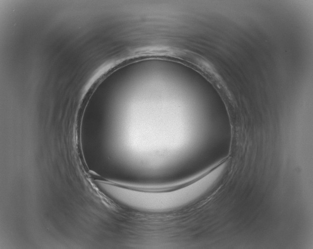 X0000080791328200701051343