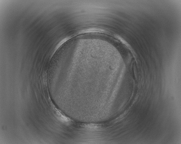 X0000080791329200701051343