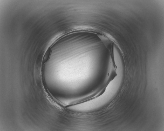 X0000080791330200701051343