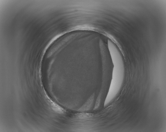 X0000080791331200701051343