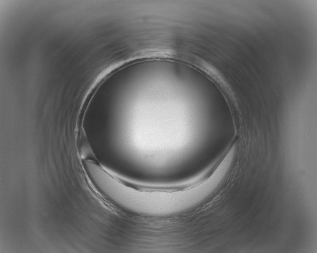 X0000080791332200701051343