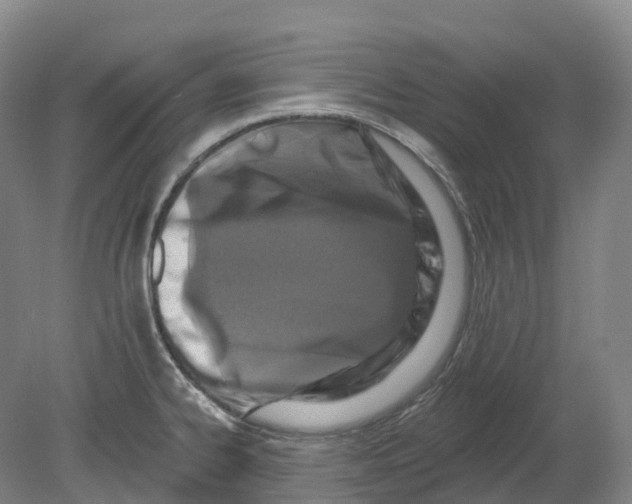 X0000080791334200701051343