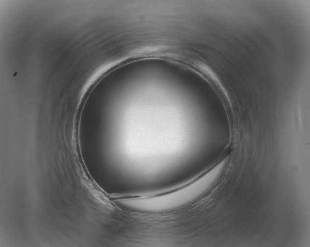 X0000080791336200701051343