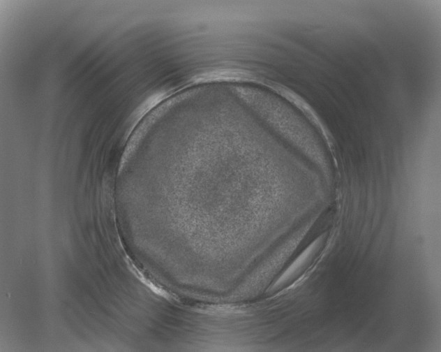 X0000080791337200701051343