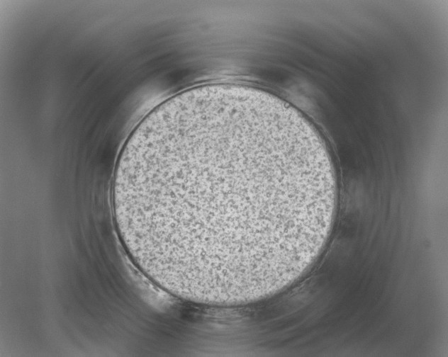 X0000080791338200701051343