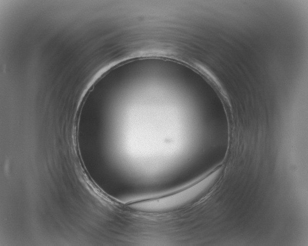 X0000080791340200701051343