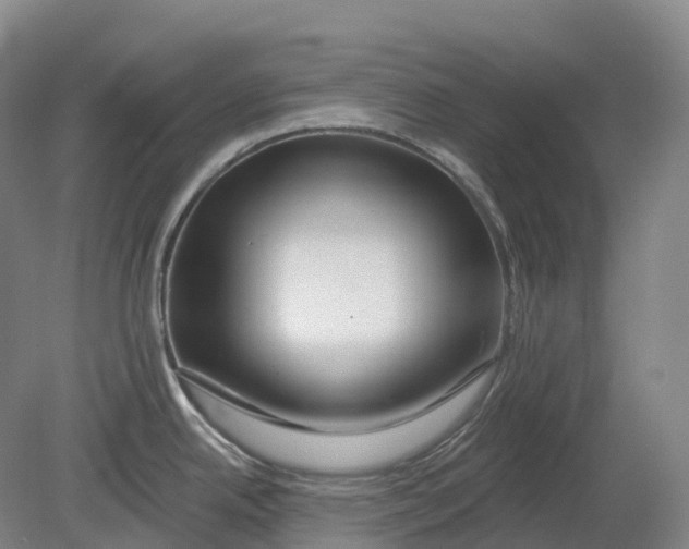 X0000080791342200701051343