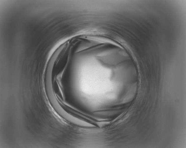 X0000080791344200701051344