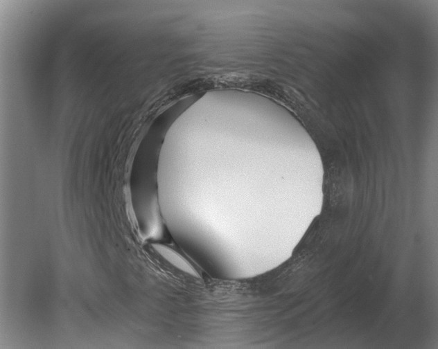X0000080791345200701051343
