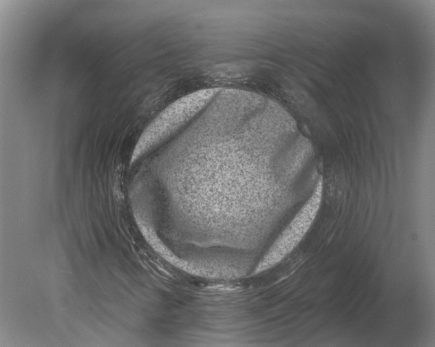 X0000080791346200701051343