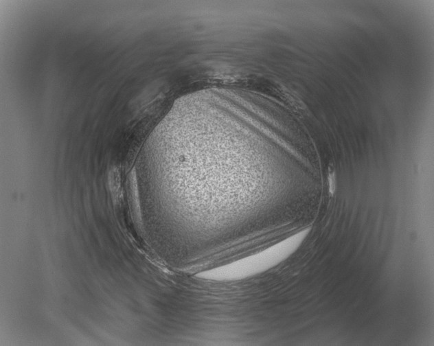 X0000080791347200701051343