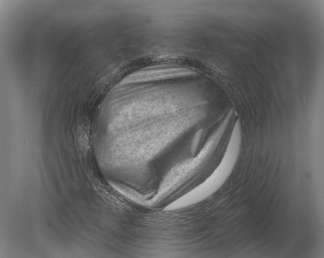 X0000080791348200701051343