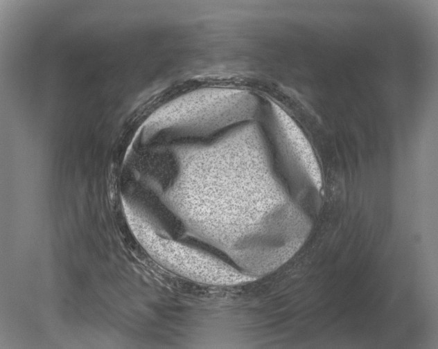 X0000080791350200701051343