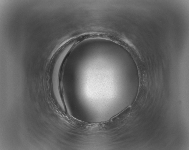 X0000080791352200701051343