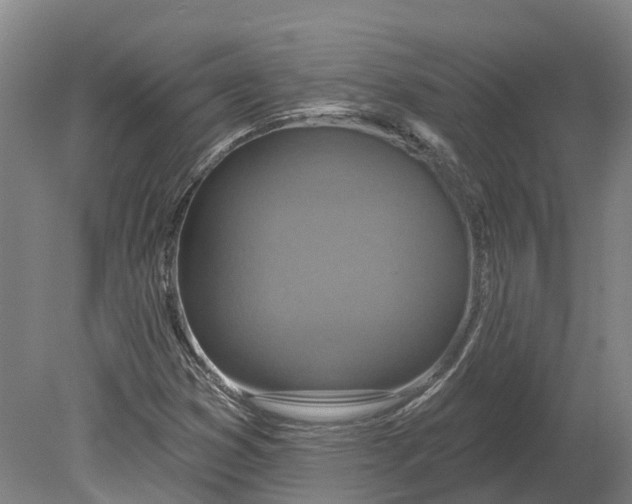 X0000080791353200701051343