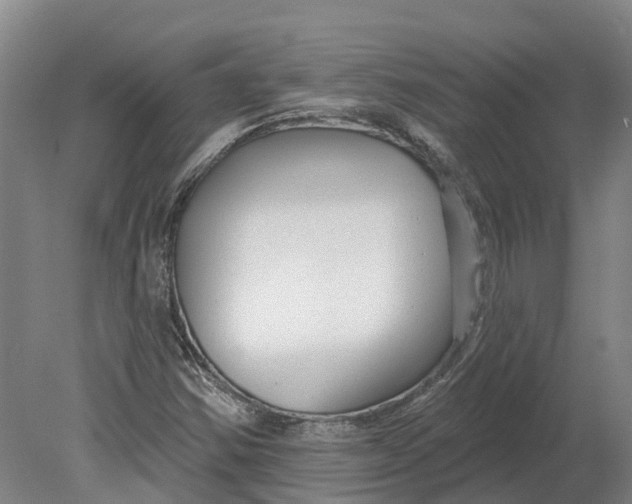 X0000080791354200701051343