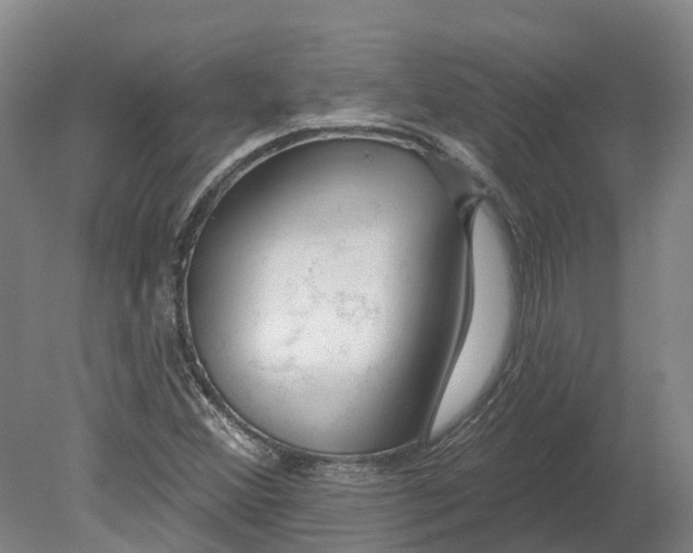 X0000080791356200701051343