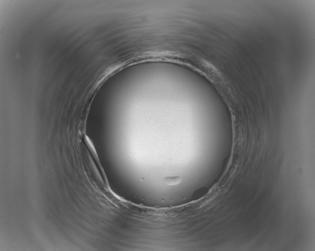 X0000080791361200701051342